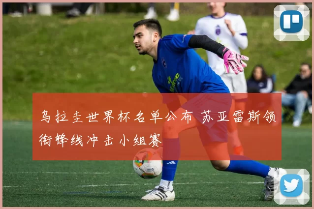 乌拉圭世界杯名单公布 苏亚雷斯领衔锋线冲击小组赛