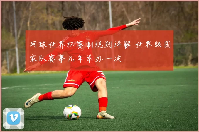 网球世界杯赛制规则详解 世界级国家队赛事几年举办一次