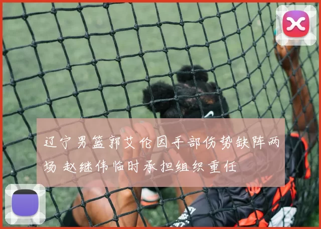 辽宁男篮郭艾伦因手部伤势缺阵两场 赵继伟临时承担组织重任