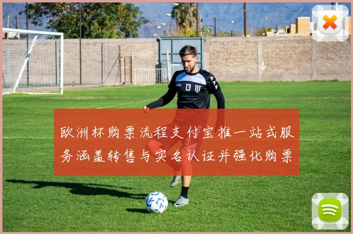 欧洲杯购票流程支付宝推一站式服务涵盖转售与实名认证并强化购票保障