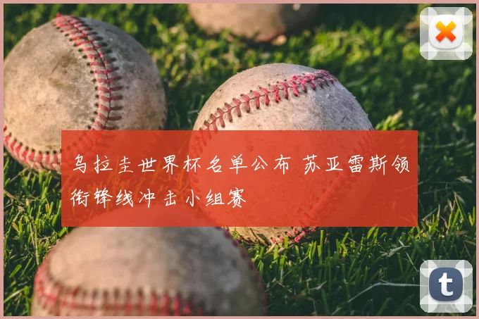 乌拉圭世界杯名单公布 苏亚雷斯领衔锋线冲击小组赛