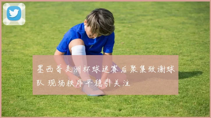 墨西哥美洲杯球迷赛后聚集致谢球队 现场秩序平稳引关注